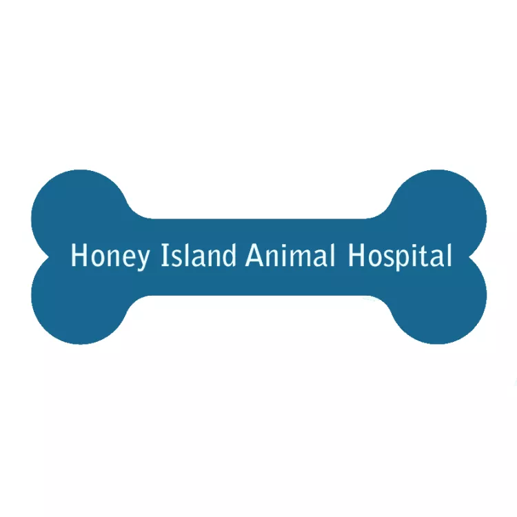 Honey Island Animal Hospital, Louisiana, Slidell